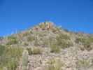 PICTURES/Go John Trail - Cave Creek/t_101_0114.JPG